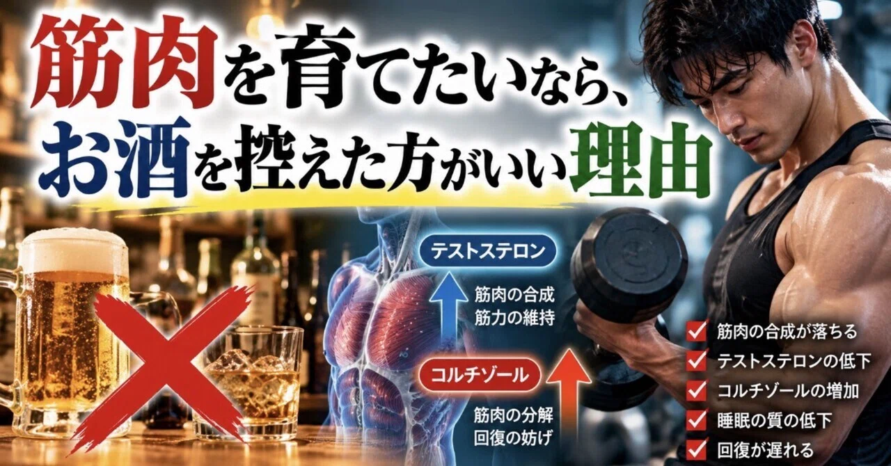Why You Should Cut Back on Alcohol If You Want to Build Muscle｜からだ整える研究室