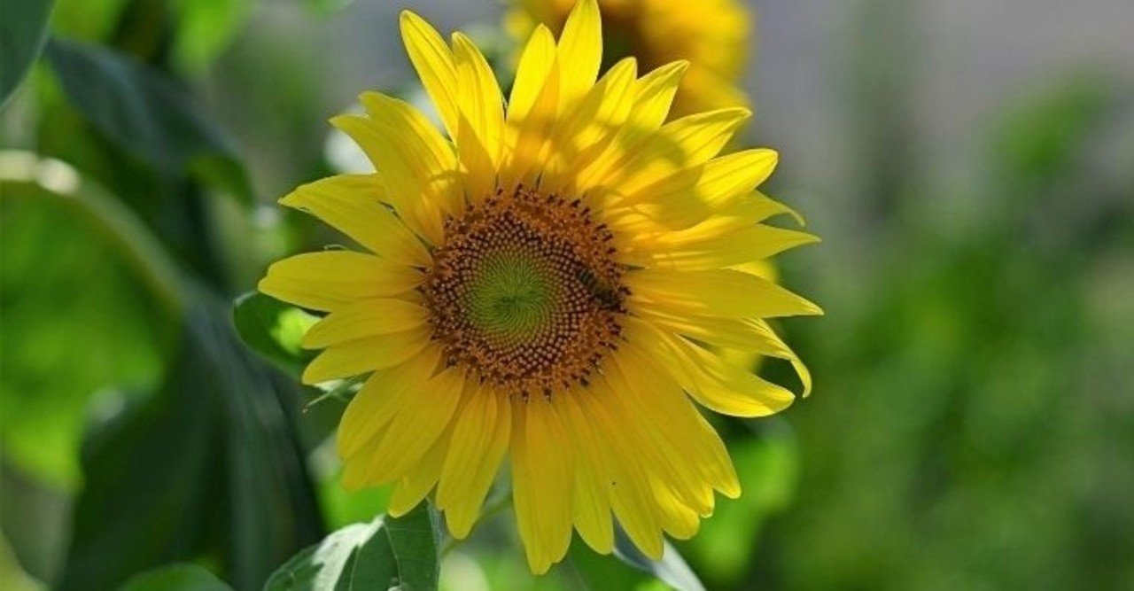 グランのメルレで稼ぐコツ クレアとの違いや特徴を紹介 める Note グランのメルレで稼ぐコツ クレアとの違いや特徴を紹介 める Note