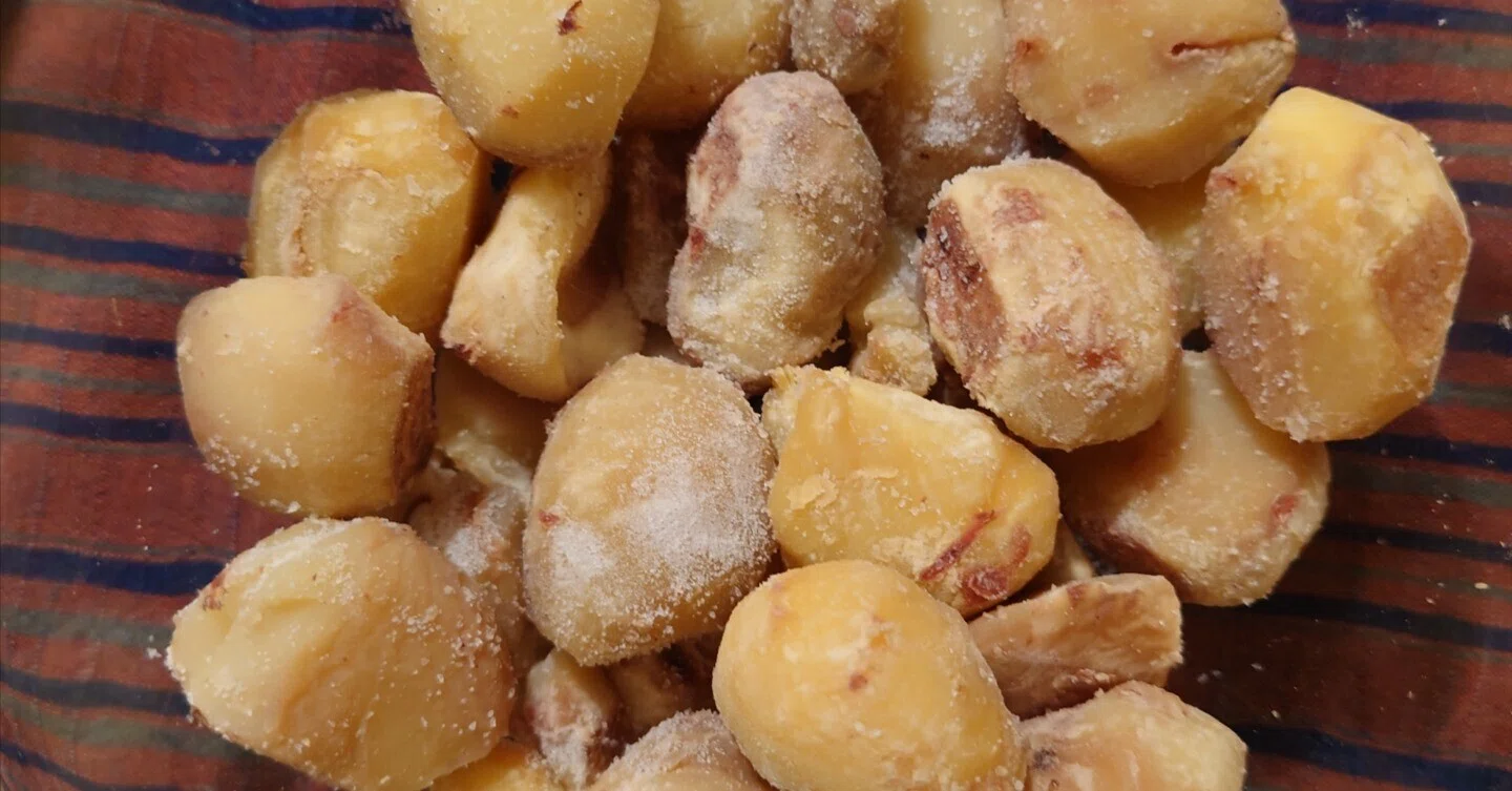 Homemade Chestnut Rice｜まつぼっくり（旧フンボルト）