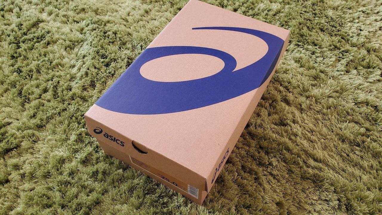 アシックス Ds Light Ag 詳細の解説と未来への展望 0014のblog Note
