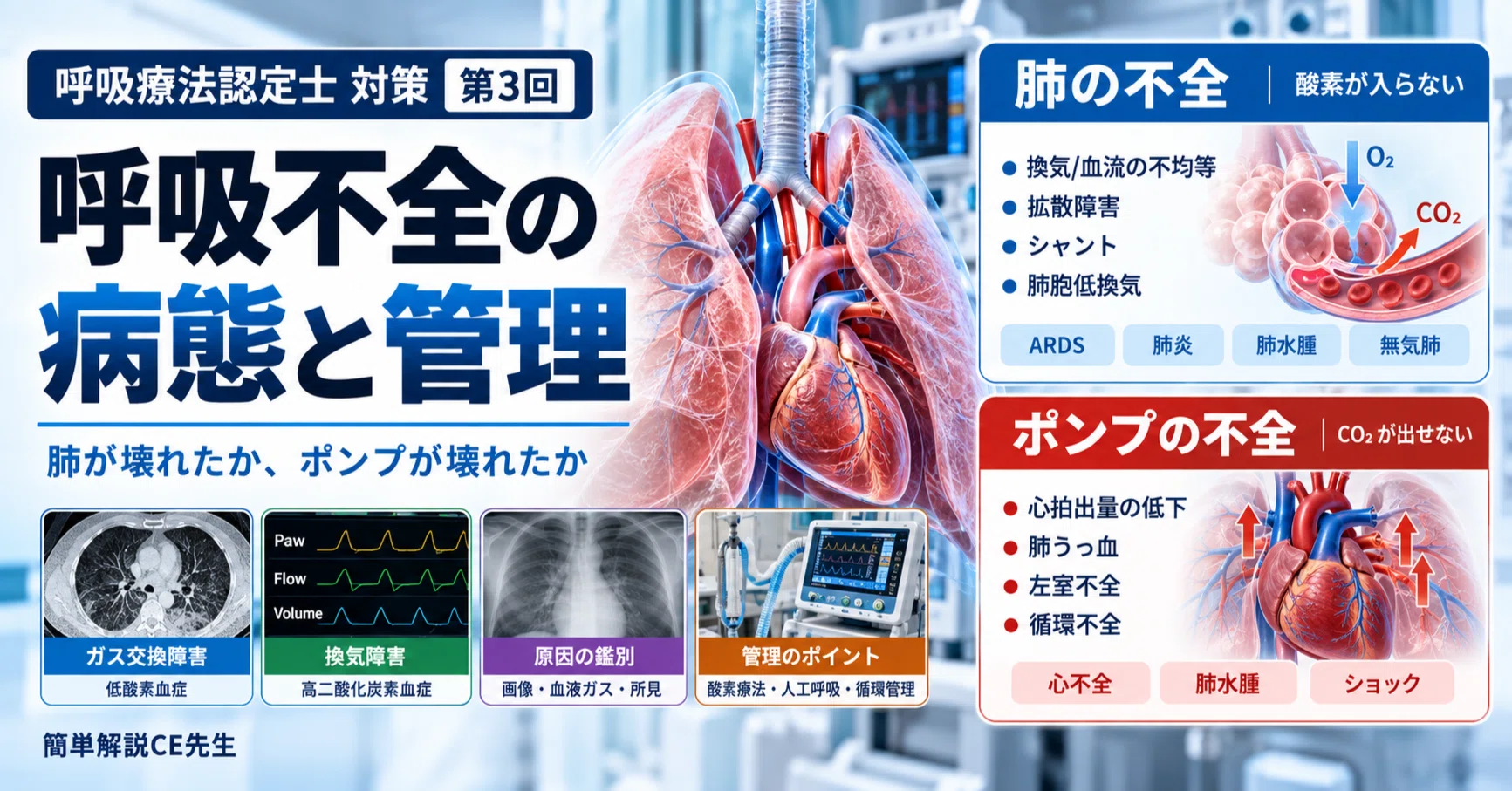 Respiratory Therapy Certification Exam Prep 3: Pathophysiology and ...
