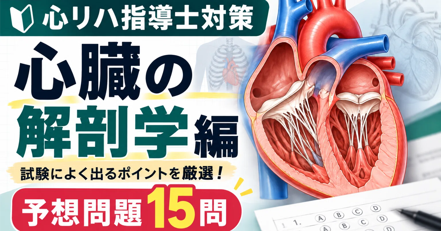 心リハ指導士試験対策問題｜①心臓の解剖｜ひろすけ|心リハ指導士と