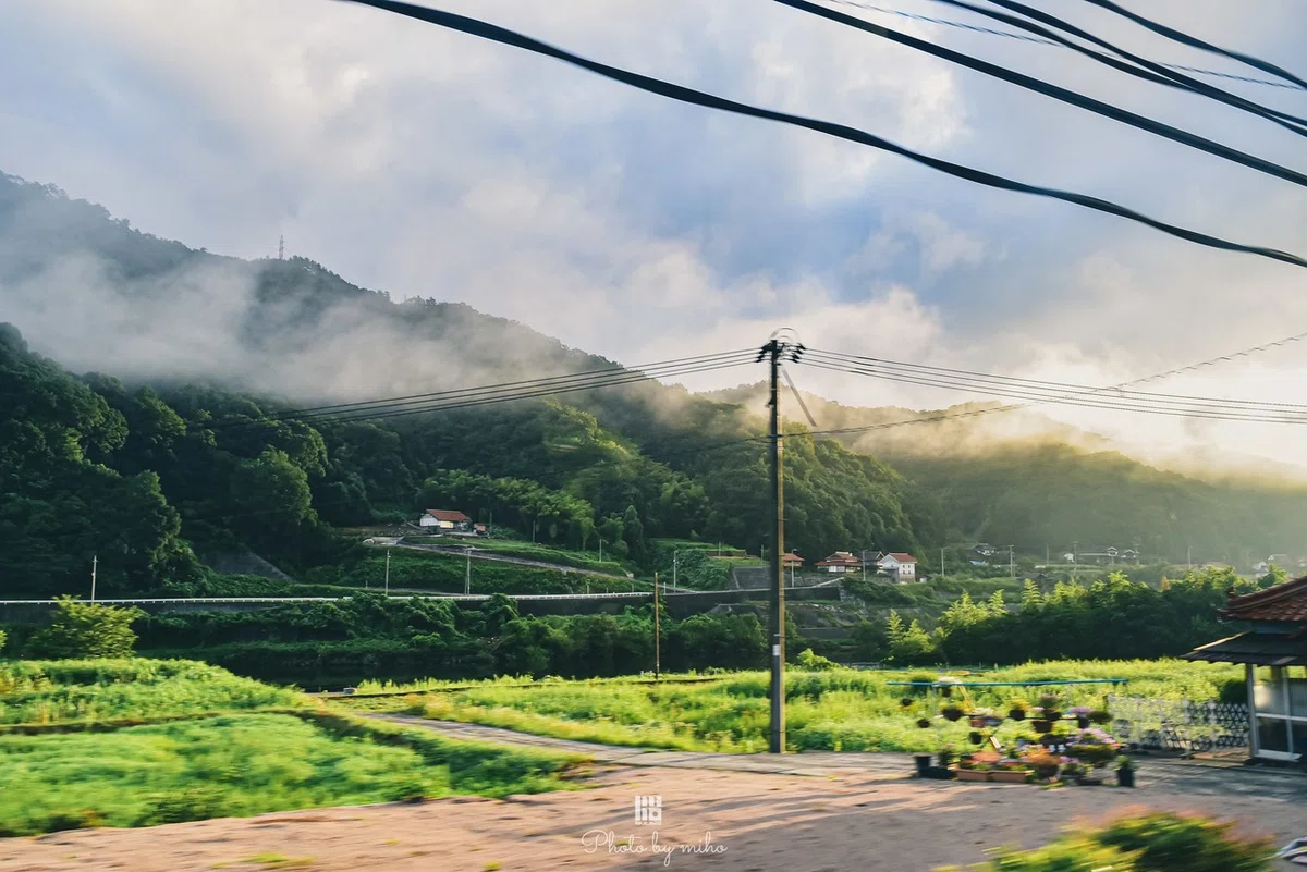 画像7