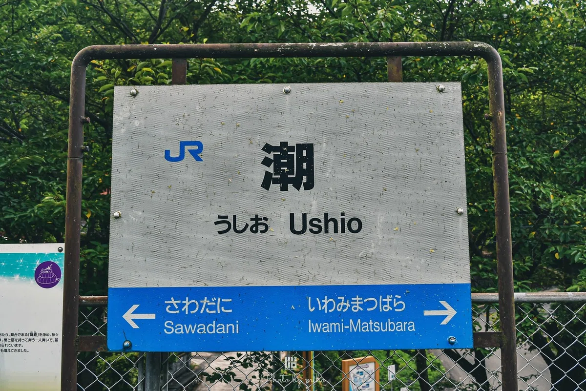 画像9