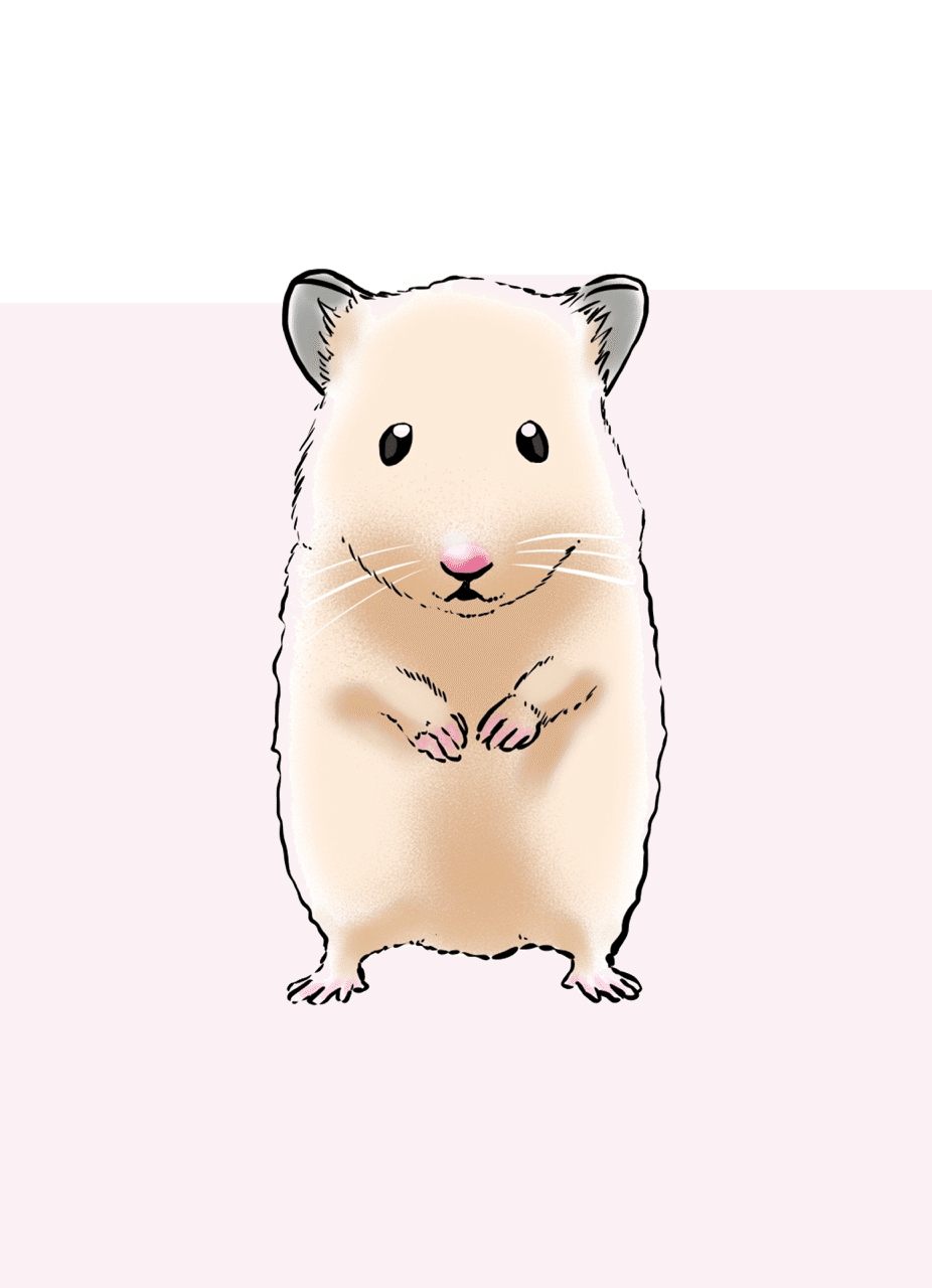 キンクマ べんどっと Note