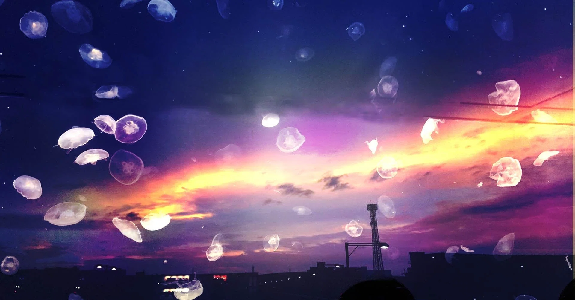 告白 私 ポケモンをやめて本当に良かったです 18年間続けたポケモンをやめた本当の理由 タヌト Note