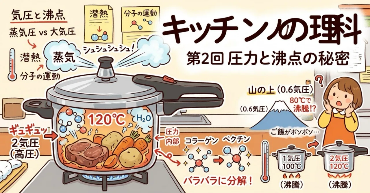 The Secret of Pressure and Boiling Point | Why Pressure Cookers Save ...