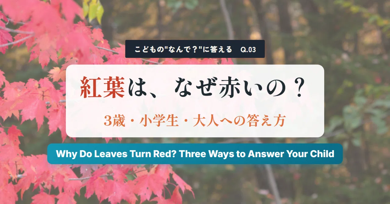 Why do leaves turn red? | How to answer children's questions in 3 ...