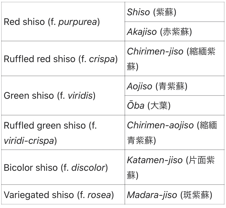 28 大好きな しそ について調べてみた Chiyo Mizukawa Note