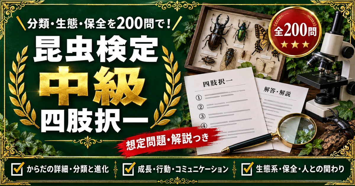 [Insect Certification Intermediate Level] Practice Problem Collection ...