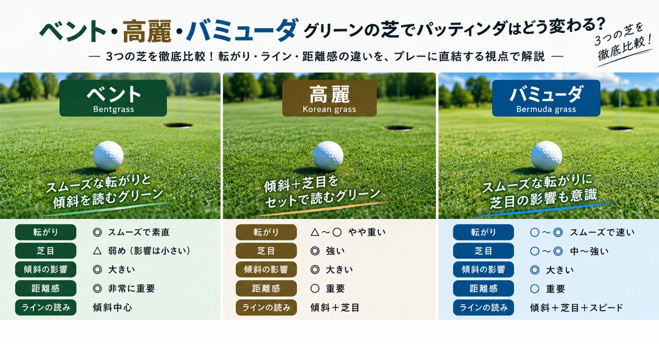ベント・高麗・バミューダ、グリーンの芝でパッティングはどう変わる？｜GOLFマニア　SHUTO  社会人シングルゴルファー兼ブロガー