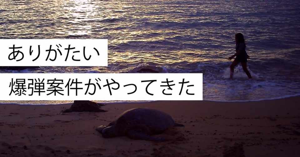 ワクワクする仕事を選ぶことがグルーヴにつながるはず 亀山友貴 Narashika Note