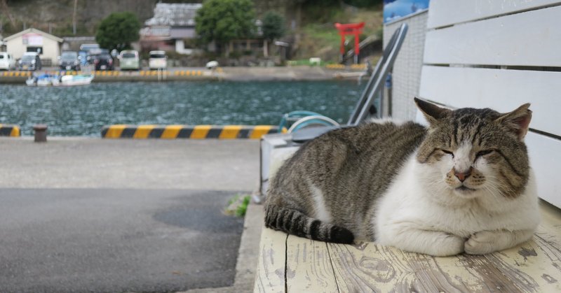 海ねこ Akiyuritugumi Note