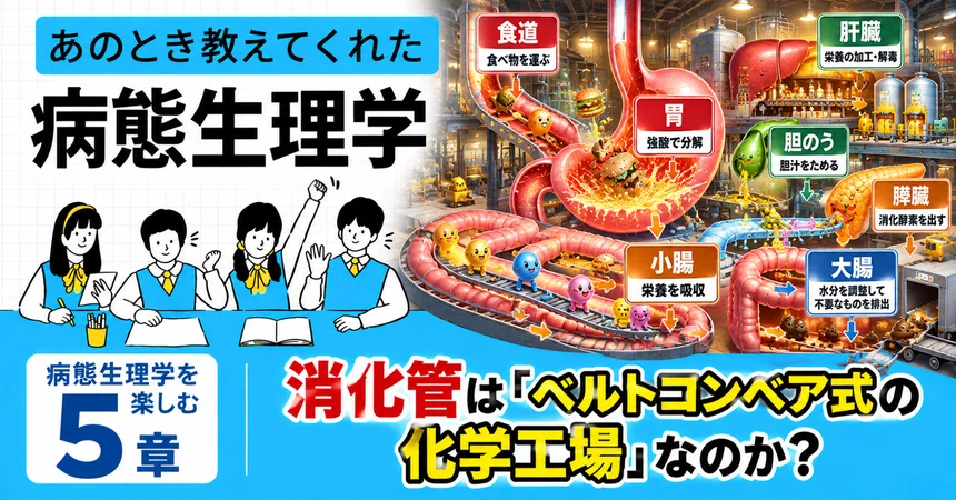 [Enjoying Pathophysiology Chapter 5] Is the Digestive Tract a 