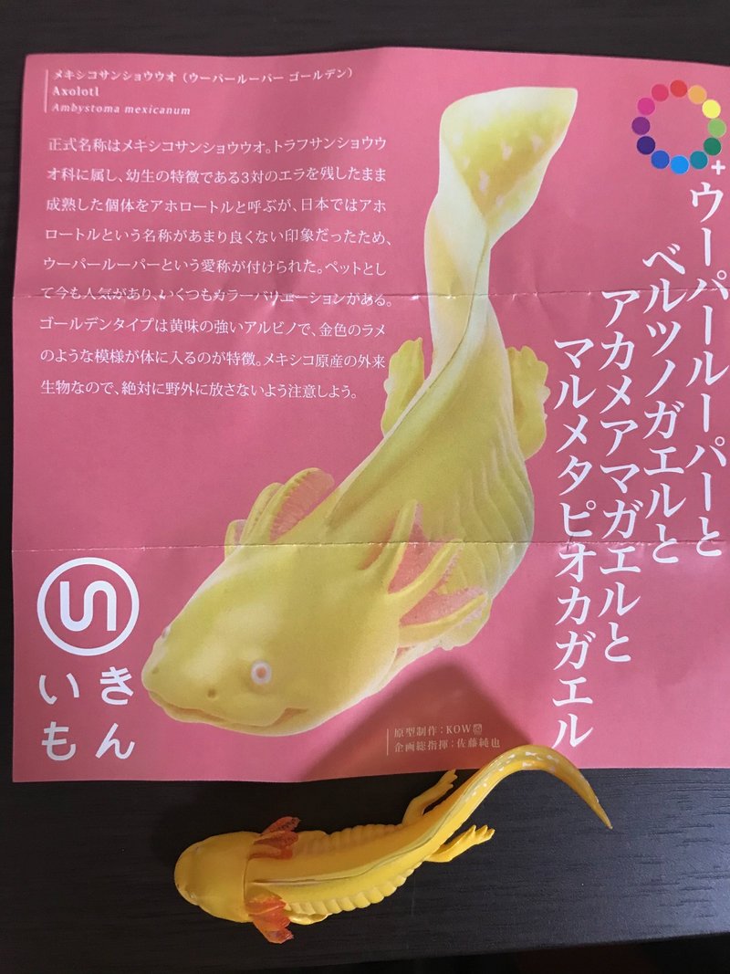 アクア トトぎふに行ってきました Fumitiger 理科教員 Note アクア トトぎふに行ってきました Fumitiger 理科教員 Note