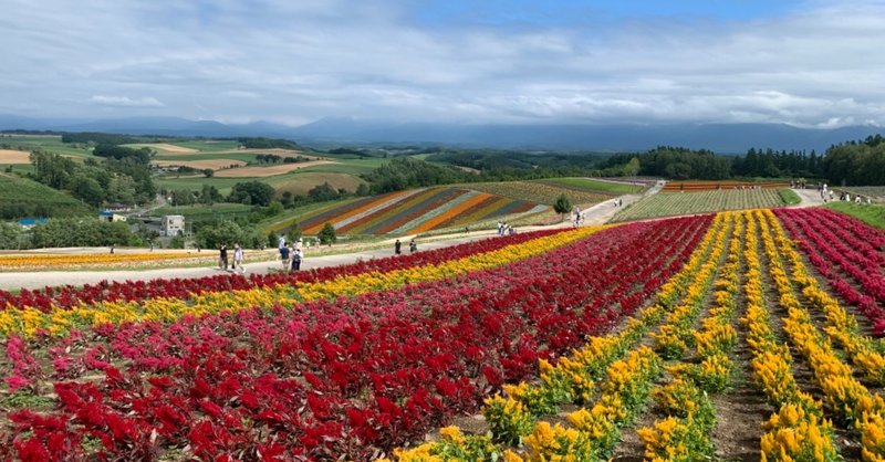 【気まぐれ写真集28】これぞ北海道・美瑛のパッチワーク畑