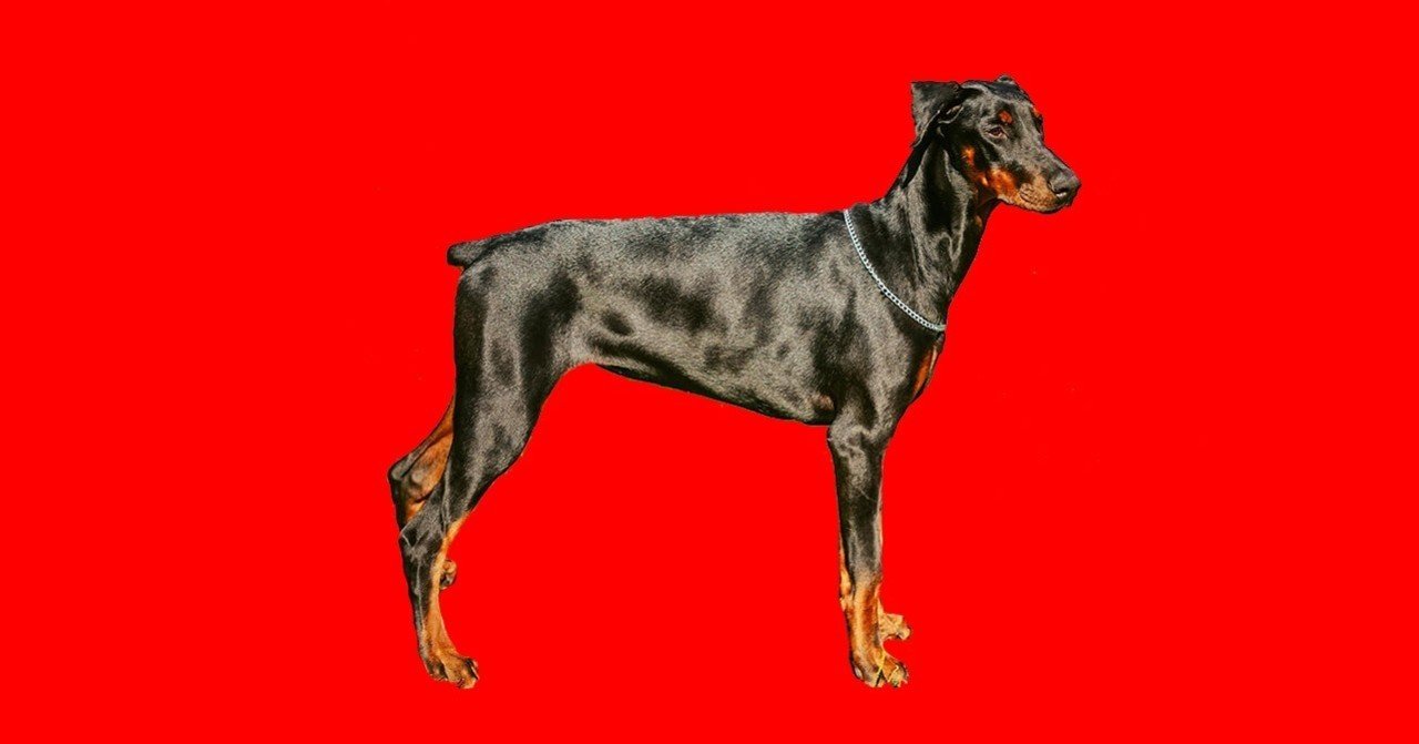 畜犬談 太宰治 カラッと笑えるよ と 爽やかに にしきれお Note