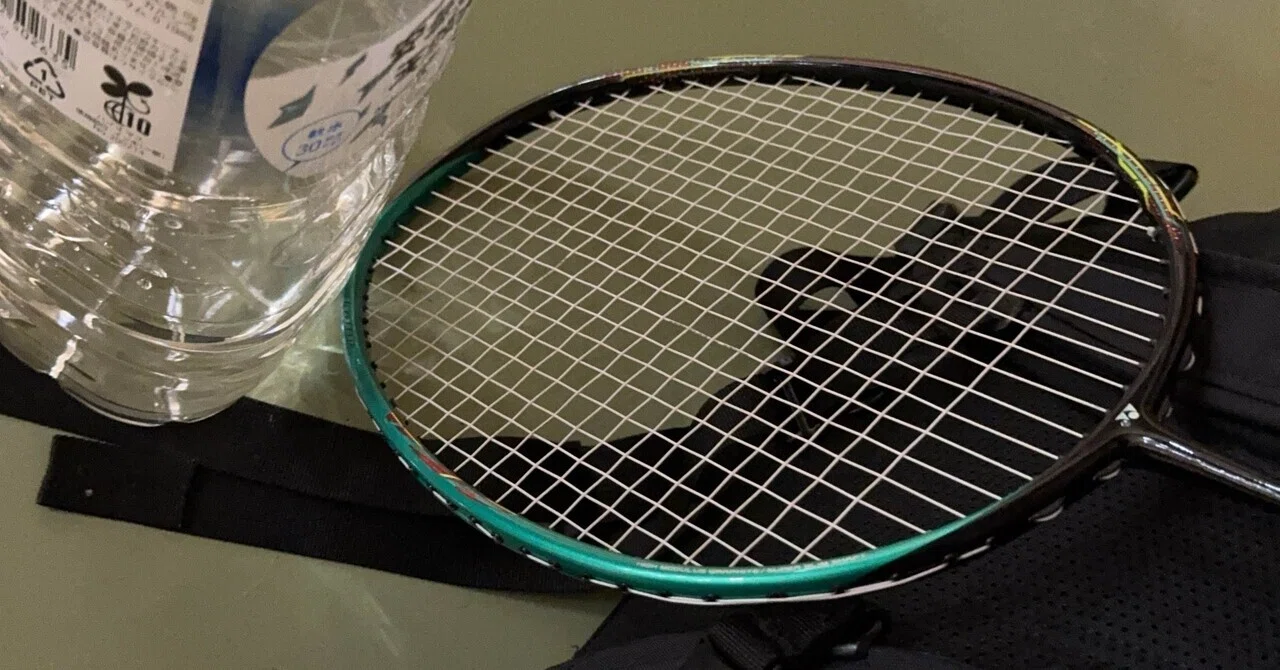 3 Reasons Why I, a Badminton Player of 14 Years, Am Glad I Became a ...