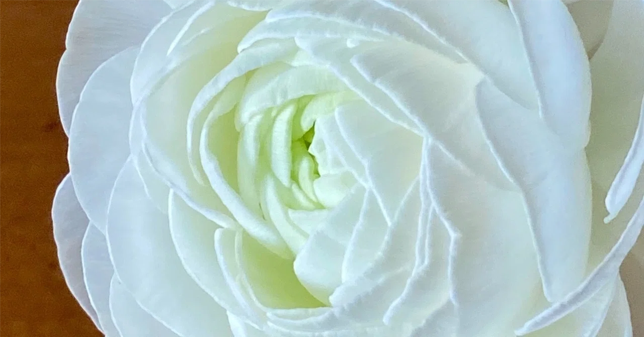 Examples of how to send condolences via LINE: How to adjust for friends ...