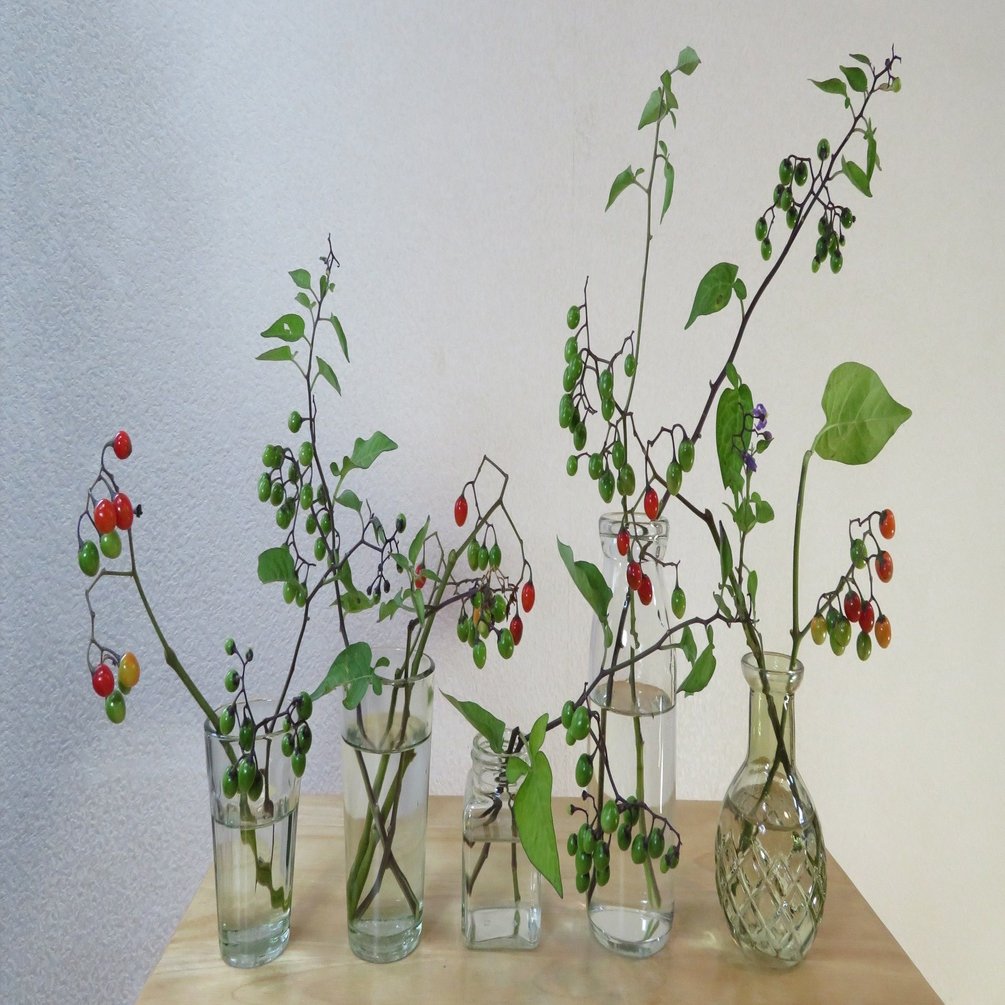 ヤマホロシの小瓶花飾り 花と日々 Yas Note