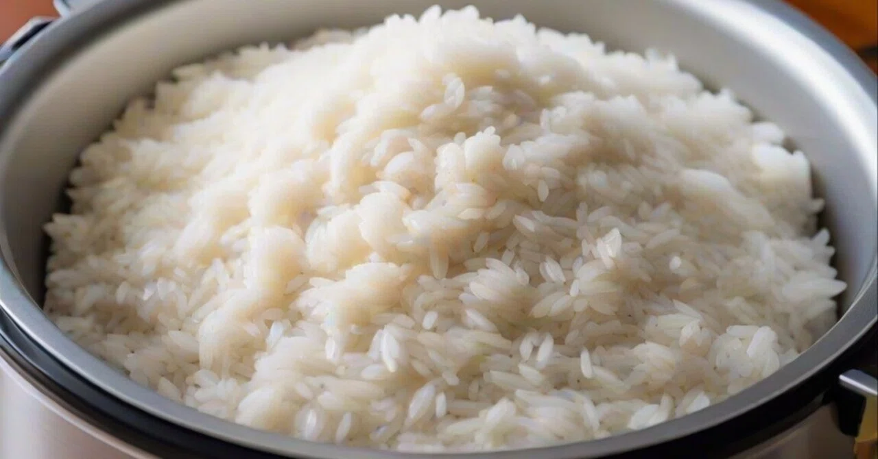 8 Recommended Rice Cookers Under 50,000 Yen | The Taste Difference ...
