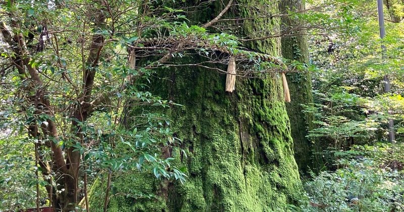 箱根神社−6