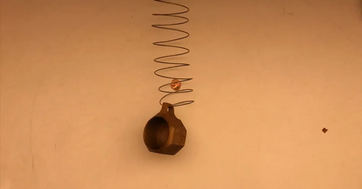 [Junior High School Science] Magnitude of Force and Spring Extension｜はな ...
