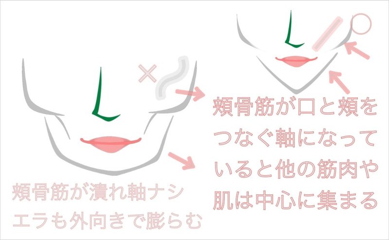 頬骨出る原因は 癖を無くして頬骨なおす お顔の整体師 戸塚哲春 Note