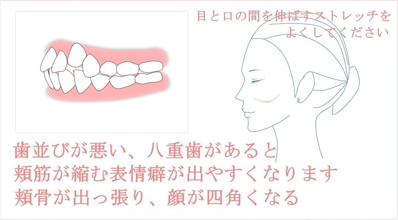 頬骨出る原因は 癖を無くして頬骨なおす お顔の整体師 戸塚哲春 Note 頬骨出る原因は 癖を無くして頬骨なおす お顔の整体師 戸塚哲春 Note