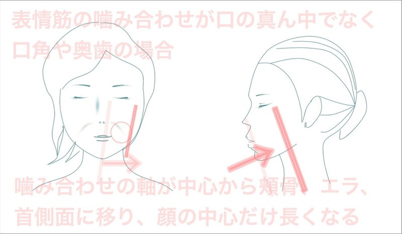 頬骨出る原因は 癖を無くして頬骨なおす お顔の整体師 戸塚哲春 Note 頬骨出る原因は 癖を無くして頬骨なおす お顔の整体師 戸塚哲春 Note