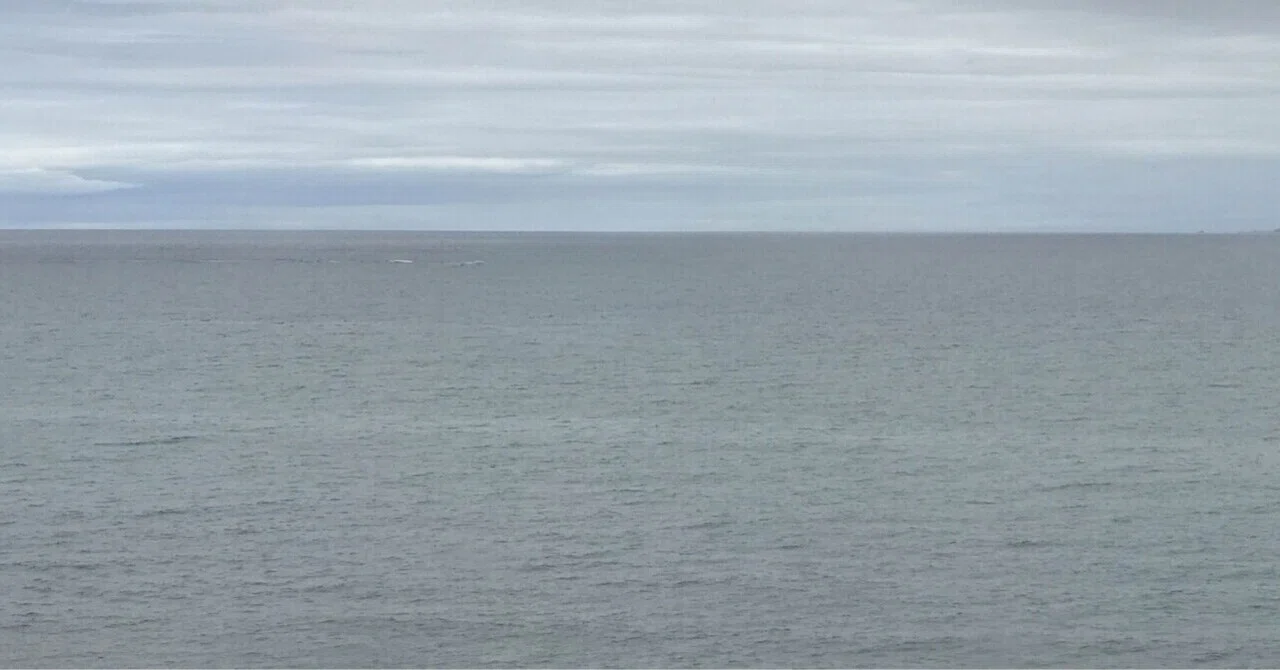 🌐 Earth Newsletter No. 91｜miowithy