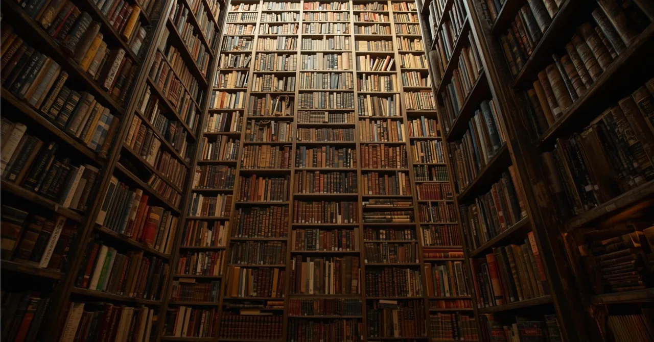 To a Library Outside the City｜さゆり