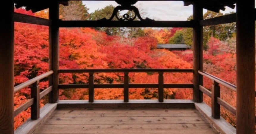 Autumn Leaves in Kyoto: Are You Leaving After Just Visiting Tofuku-ji ...
