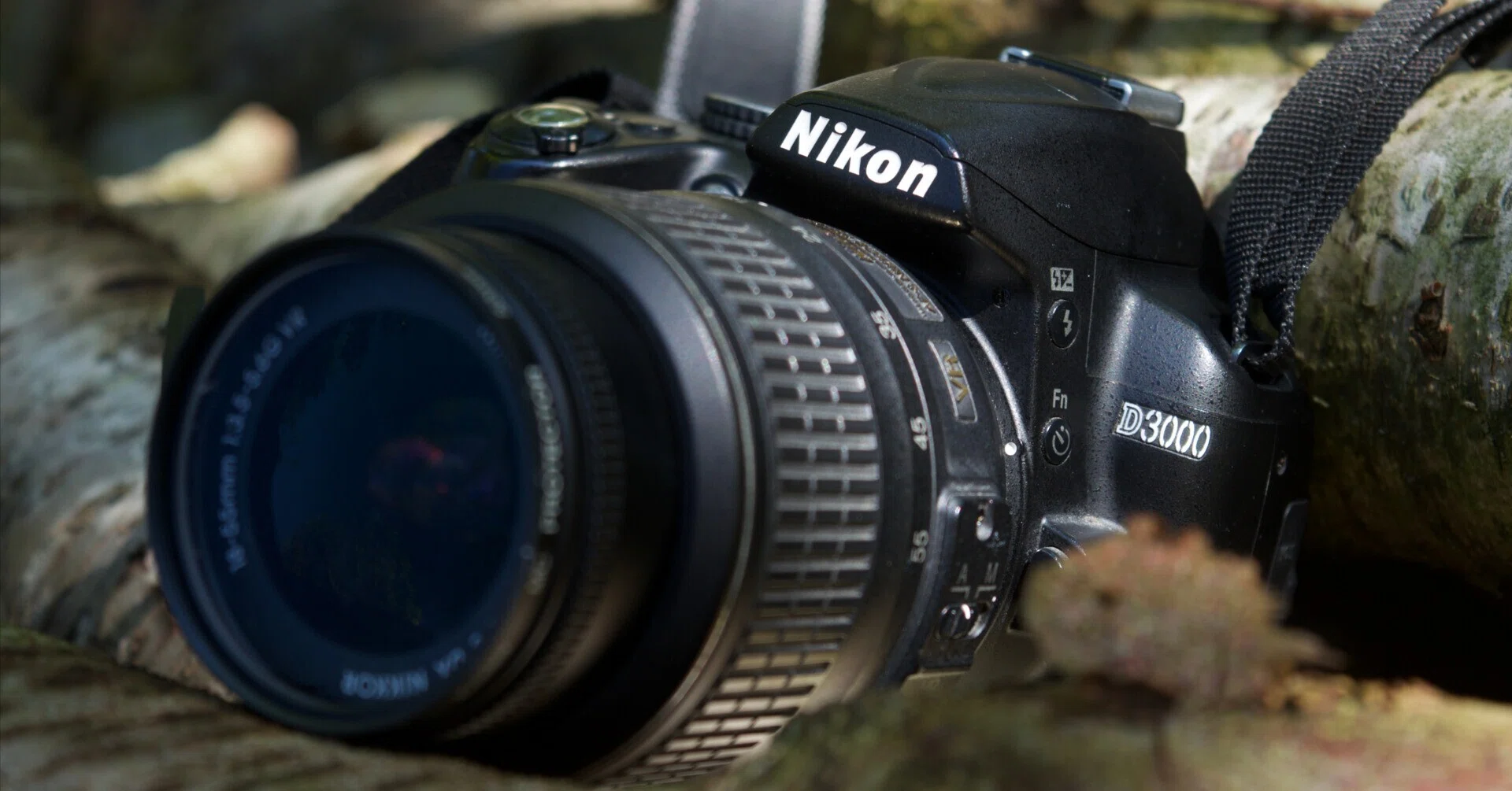 Nikon最後のCCD一眼レフはどんな写りなのか｜ガレージ15
