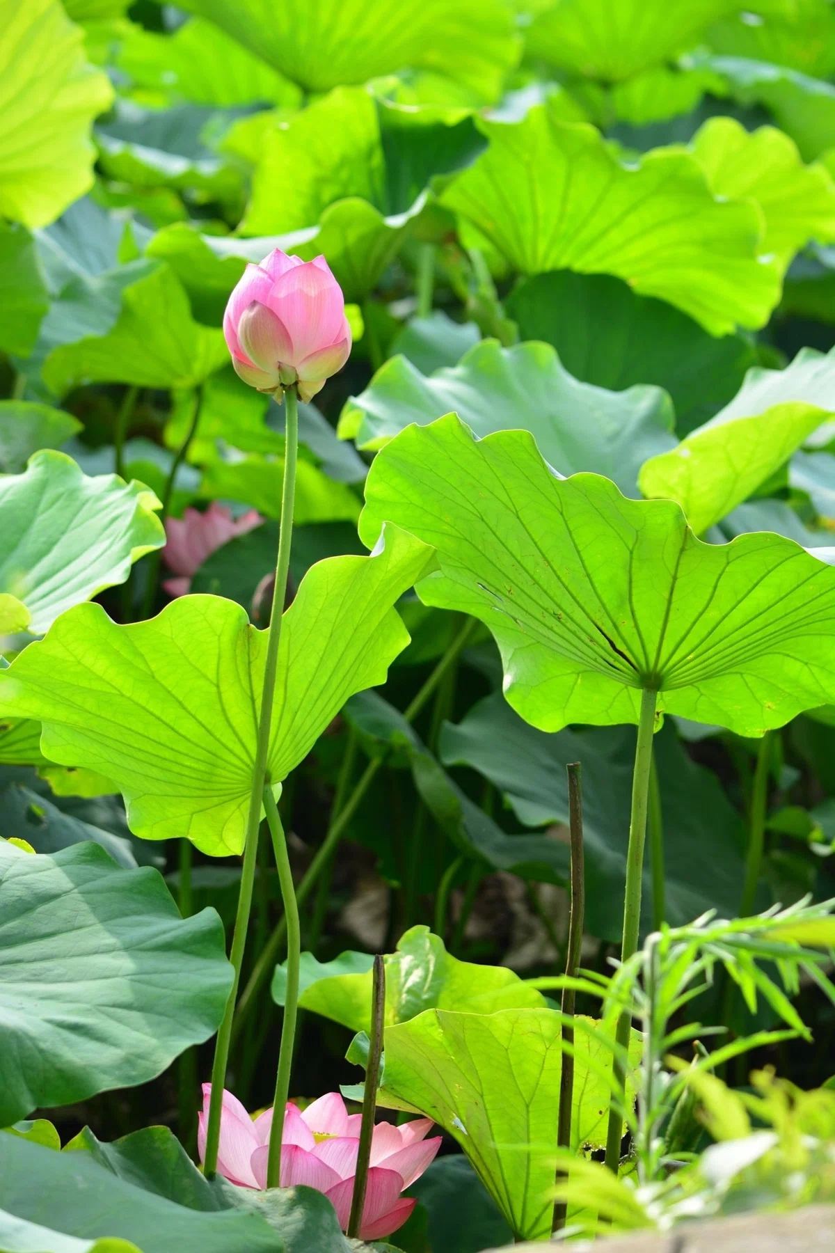 画像19