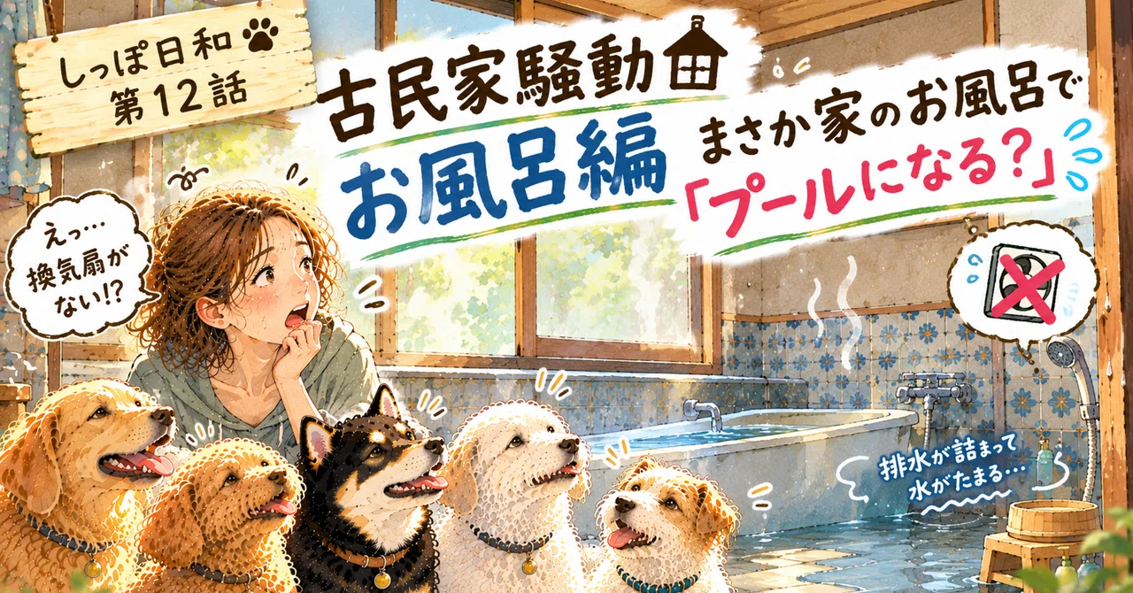 #12 [Old Folk House Commotion] Bathroom Edition｜『しっぽ日和』4匹の犬と、里山・古民家暮らし