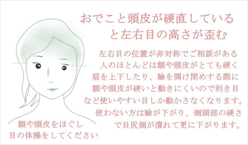 左右で目の大きさが違う 自分で揃える方法 お顔の整体師 戸塚哲春 Note 左右で目の大きさが違う 自分で揃える方法 お顔の整体師 戸塚哲春 Note