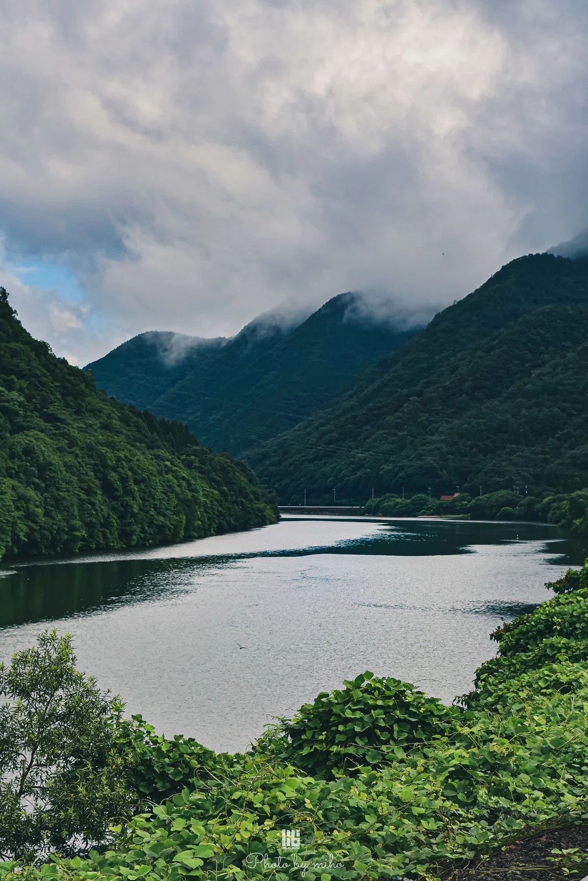 画像11