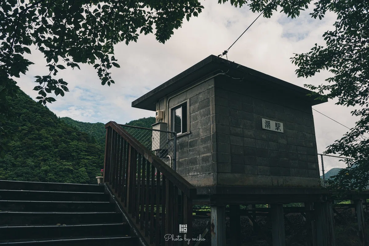 画像12