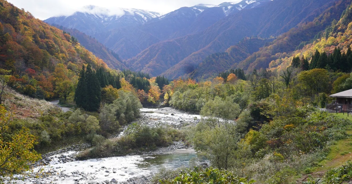 Snowy Mountains and Brocade Forests｜田中辰明