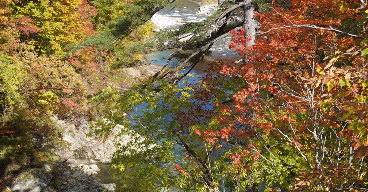 Autumn Leaves in Kodamagawa: Weaving Brocade in the Bosom of the Iide ...