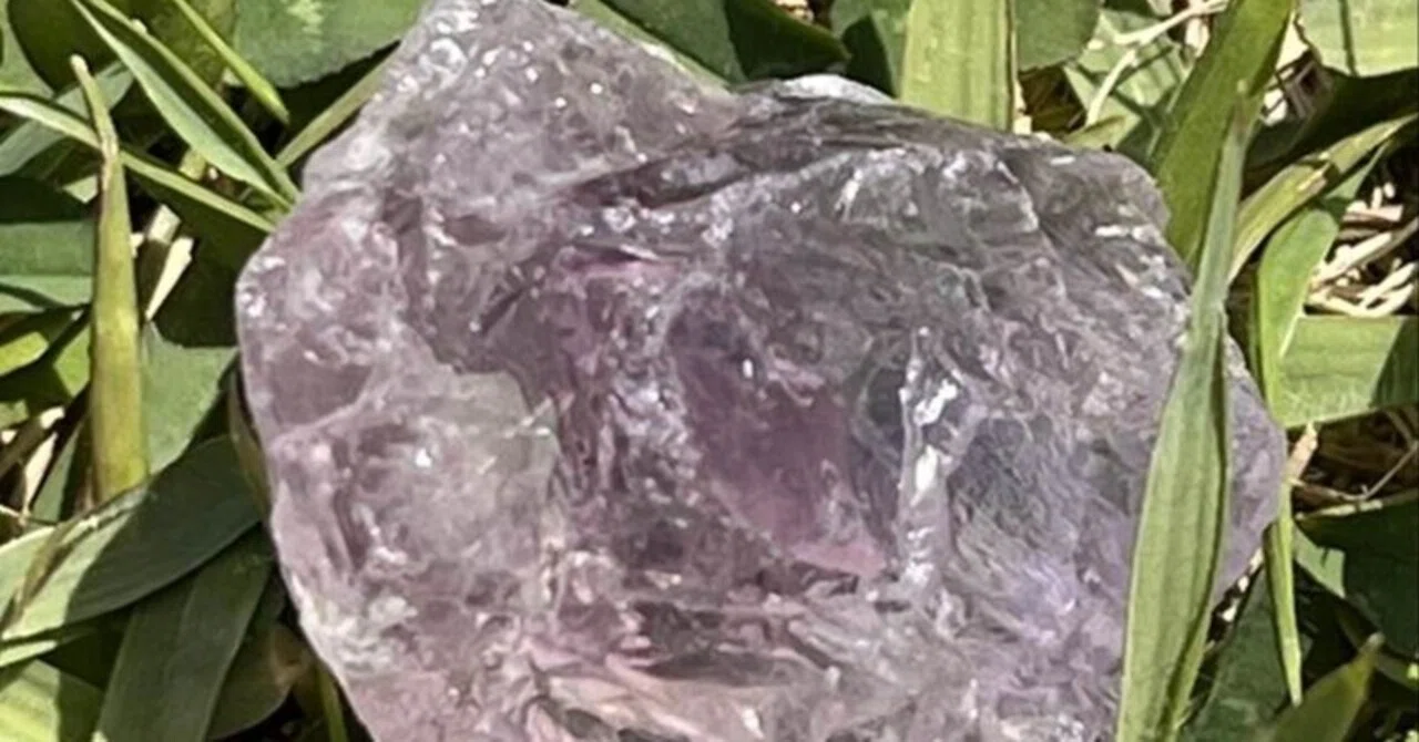 Rose de France Amethyst | Beauty is first acknowledging your inner ...