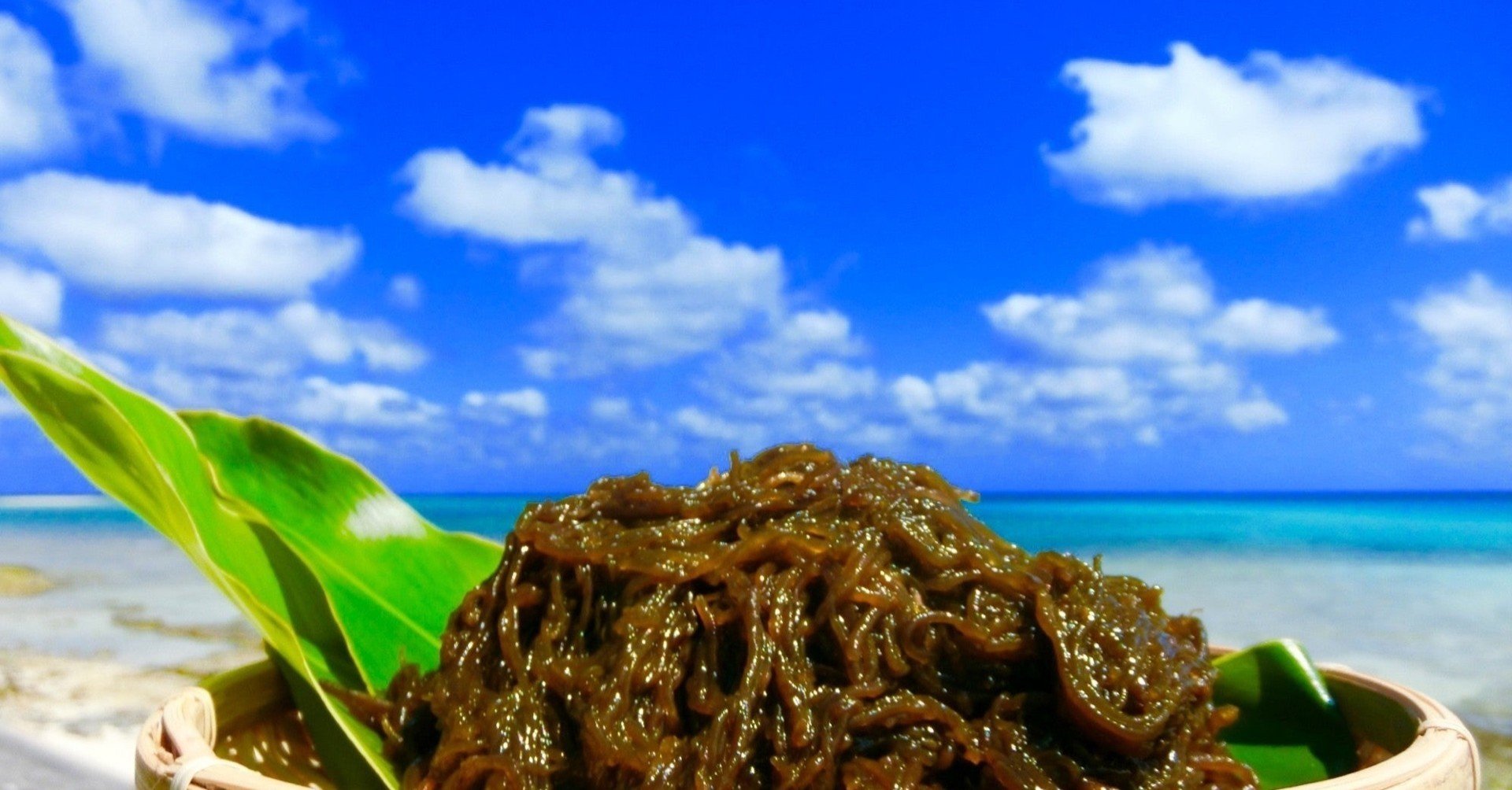 ポケモン ダダリンの育成論 チョッキ型 ジャイボ型 タヌト Note ポケモン ダダリンの育成論 チョッキ型 ジャイボ型 タヌト Note