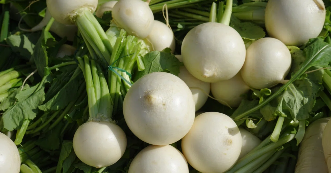 Sturnips What is the difference between turnips and daikon radishes? A ...