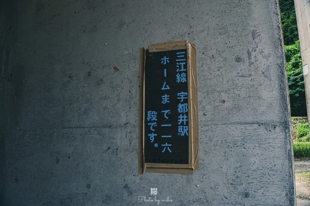画像19