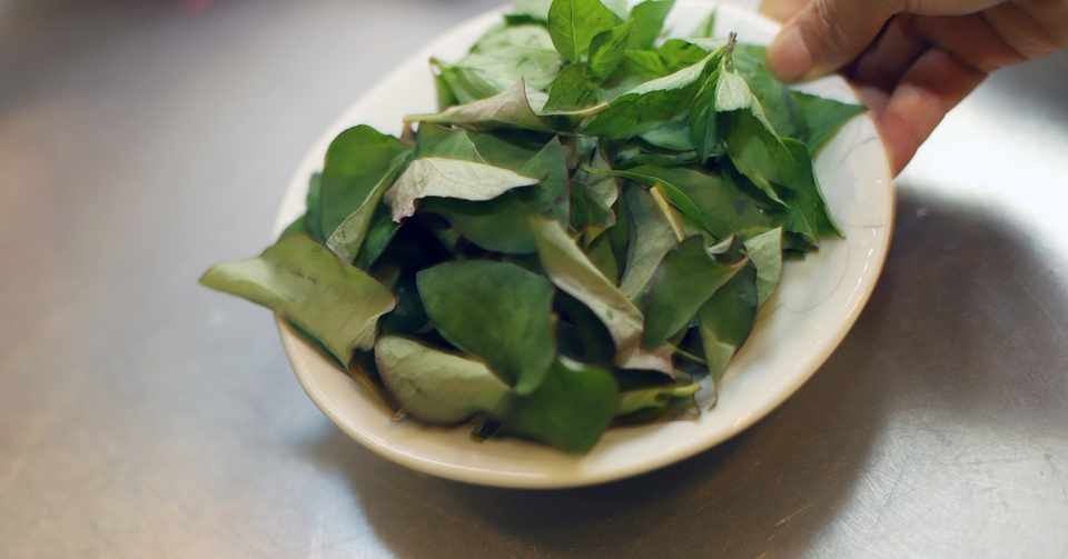 ドクダミを食べる 来双船 Note