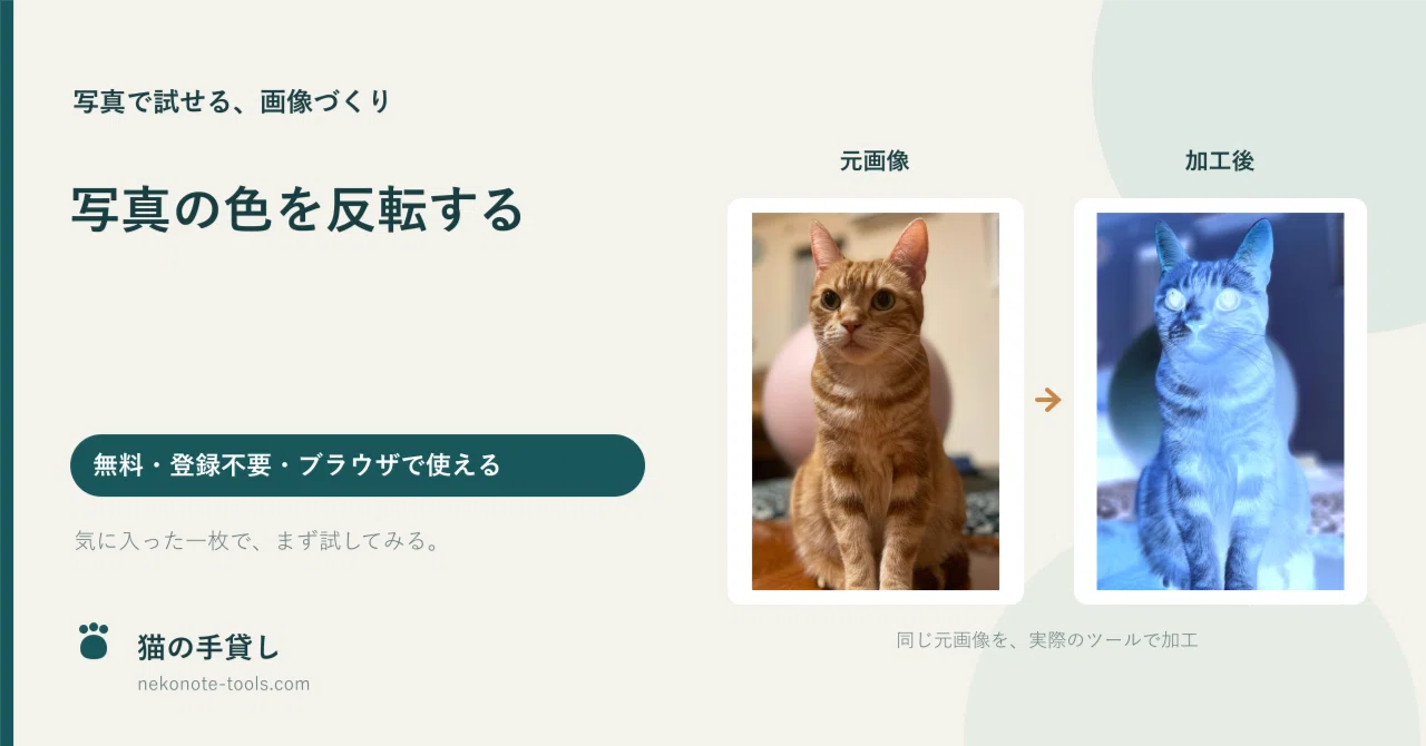 Invert Photo Colors | Free Negative-Positive Film Style Processing｜まるお