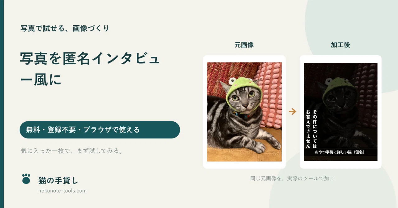 Make photos look like an anonymous interview | Free tool to add ...