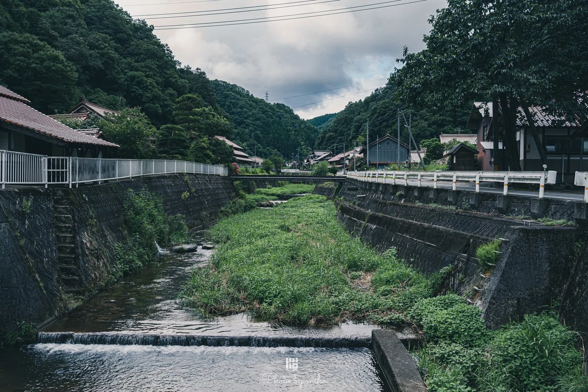 画像21