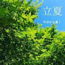 画像11